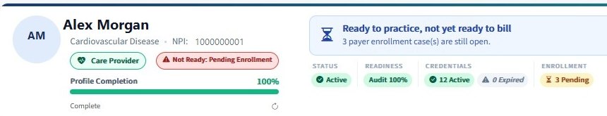 RIEL provider record header with status badges, profile completion bar and readiness summary